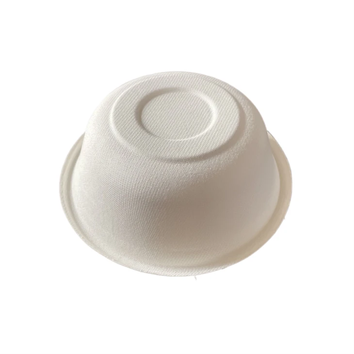 bagasse bowl biodegradable